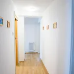 In Zasip Mit Moeblierter Terrasse By Interhome Lägenhet *