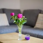 Lägenhet In Zasip Mit Moeblierter Terrasse By Interhome Bled