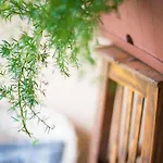 Lägenhet In Zasip Mit Moeblierter Terrasse By Interhome *