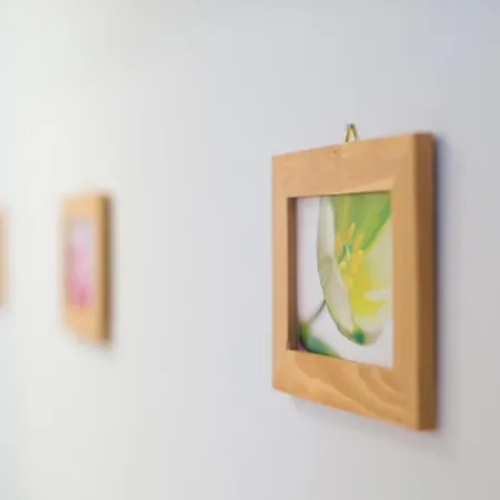 Апартаменты In Zasip Mit Moeblierter Terrasse By Interhome