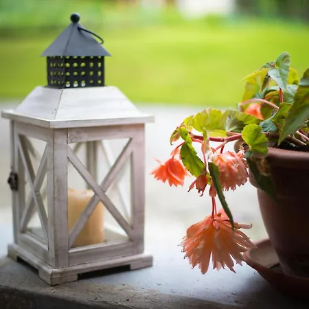 In Zasip Mit Moeblierter Terrasse By Interhome Апартаменты *