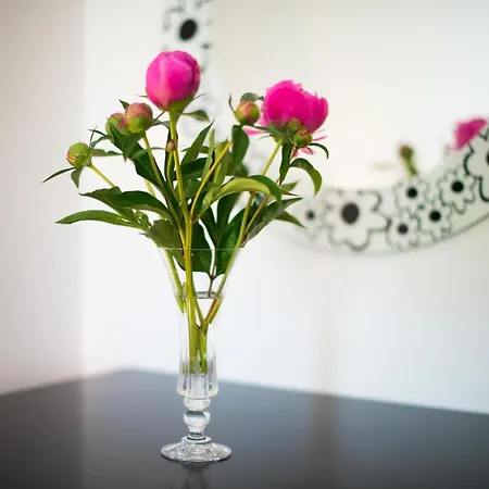 Апартаменты In Zasip Mit Moeblierter Terrasse By Interhome *