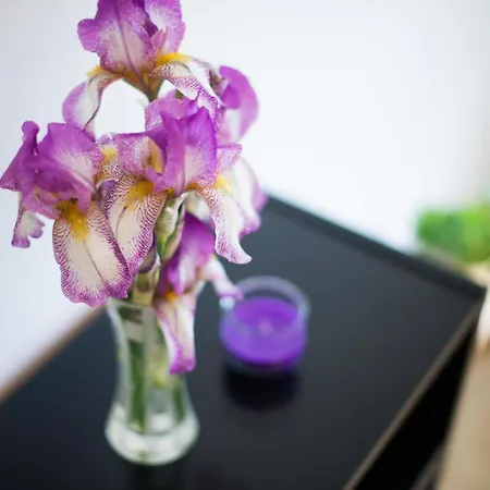 Апартаменты In Zasip Mit Moeblierter Terrasse By Interhome