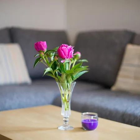 Apartmán In Zasip Mit Moeblierter Terrasse By Interhome Bled