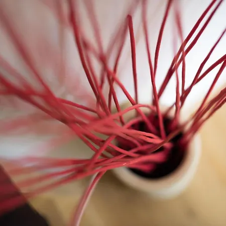 In Zasip Mit Moeblierter Terrasse By Interhome Апартаменты *