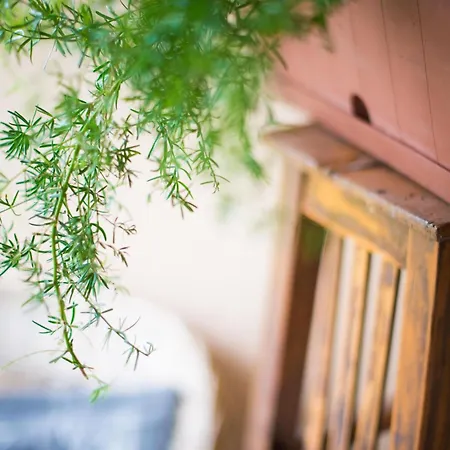 Апартаменты In Zasip Mit Moeblierter Terrasse By Interhome *