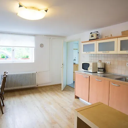 In Zasip Mit Moeblierter Terrasse By Interhome Apartmán