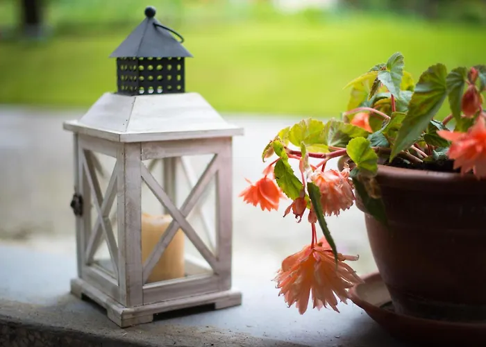 In Zasip Mit Moeblierter Terrasse By Interhome Apartment *