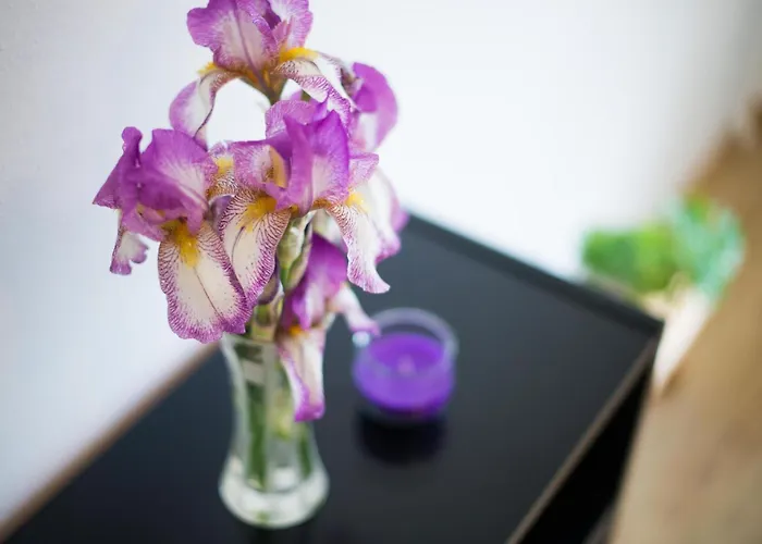 Appartement In Zasip Mit Moeblierter Terrasse By Interhome