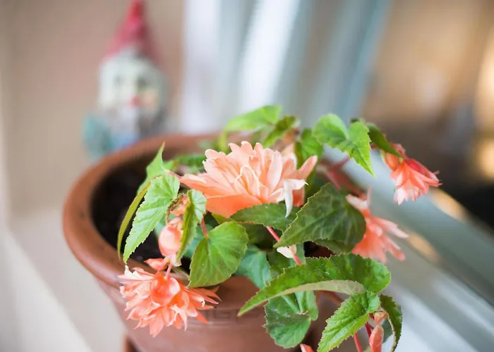 In Zasip Mit Moeblierter Terrasse By Interhome *