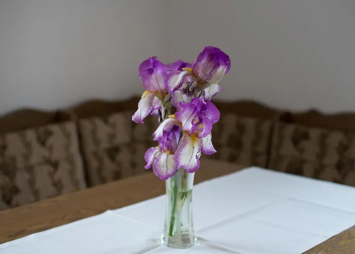 In Zasip Mit Moeblierter Terrasse By Interhome Bled