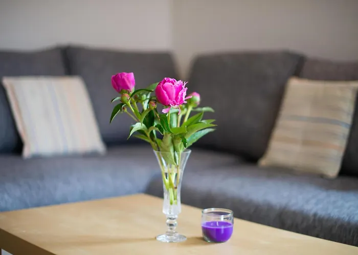 Apartamento In Zasip Mit Moeblierter Terrasse By Interhome Bled