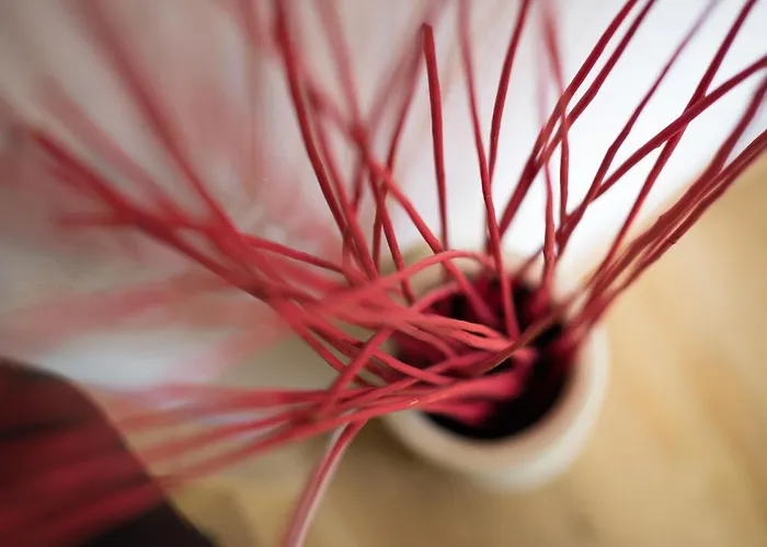 In Zasip Mit Moeblierter Terrasse By Interhome Apartamento *