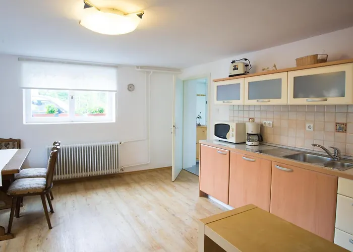 In Zasip Mit Moeblierter Terrasse By Interhome Apartment